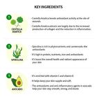 the SKIN HOUSE XYCOS Cica Green Serum - 50ml