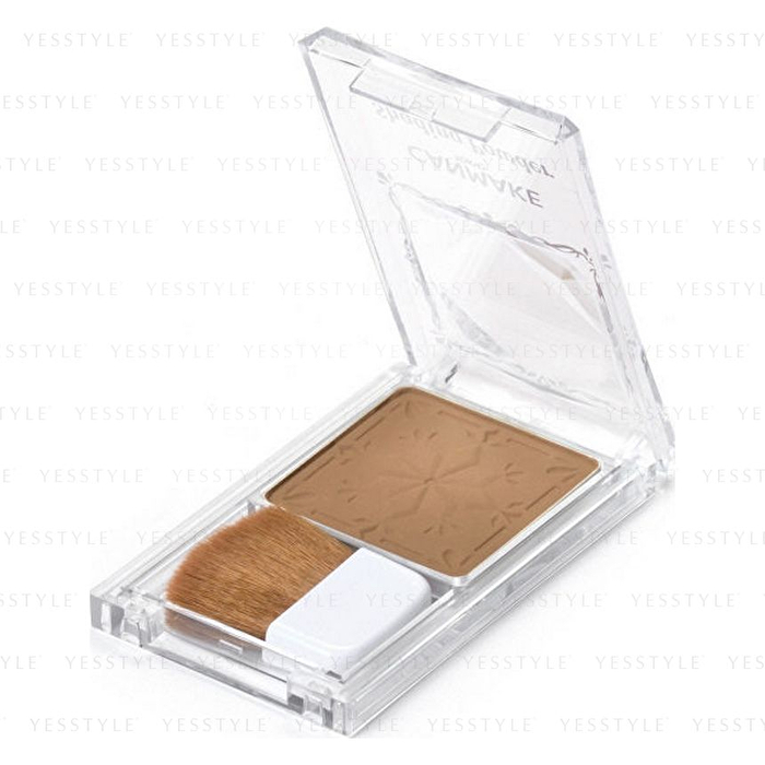 Shading Powder - 04 Ice Gray Brown