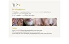 Blackhead Off Sheet LARGE - 40 sheets