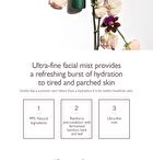 haruharu wonder Black Bamboo Mist JUMBO - 150ml