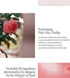 Falling Into The Rose Mist - 100ml