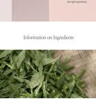 Falling Into The Rose Mist - 100ml