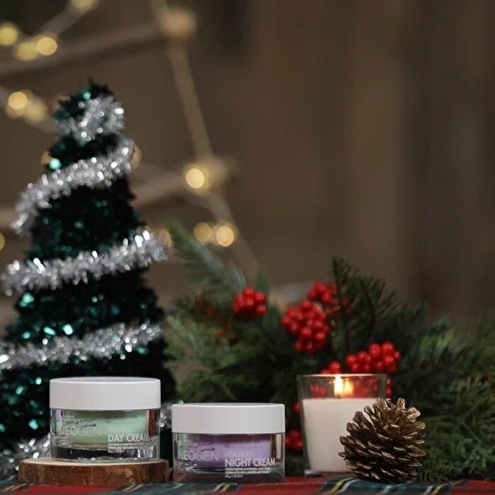 Vita Duo Night Cream - 50g