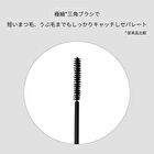 Eye Edition Mascara - 01 Lavender Black