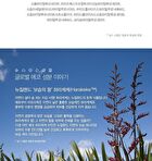 Urban Eco Harakeke Essence - 50ml