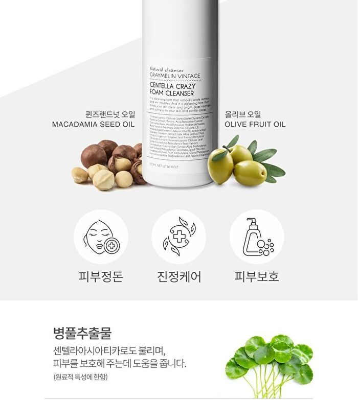 Graymelin Crazy Foam Cleanser - 5 Types - #04 Charcoal