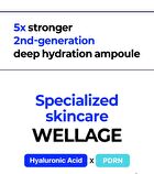 Wellage Real Hyaluronic Blue 100 Ampoule - 60ml