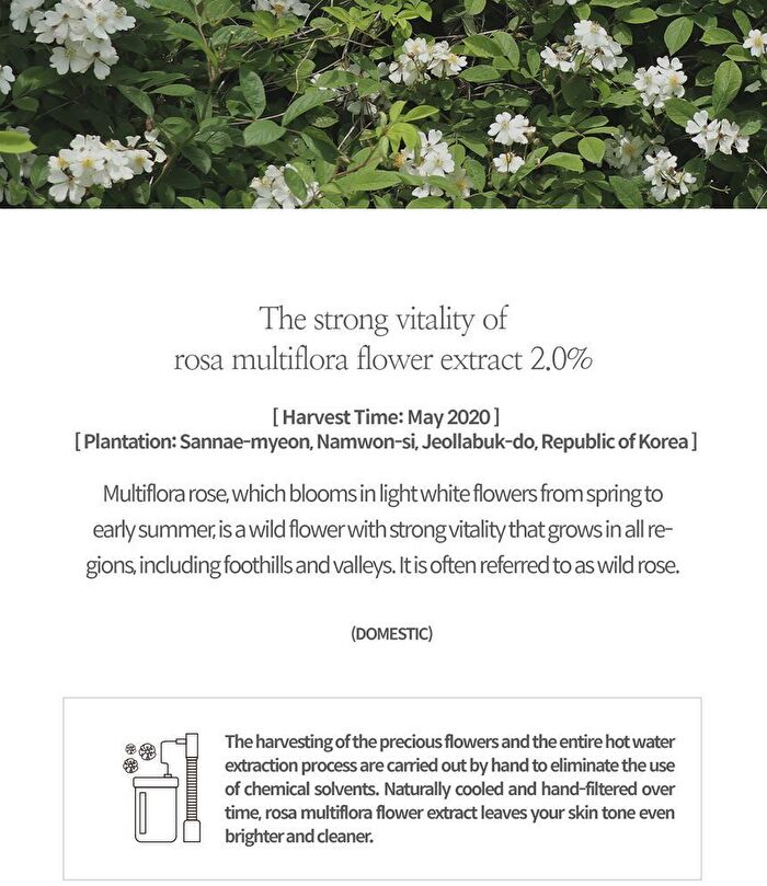 Enriched By Nature Cream - 50ml