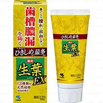 Fresh Leaf EX Toothpaste - 100g