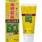 Fresh Leaf EX Toothpaste - 100g