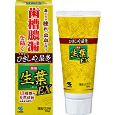 Kiribai Fresh Leaf EX Toothpaste - 100g