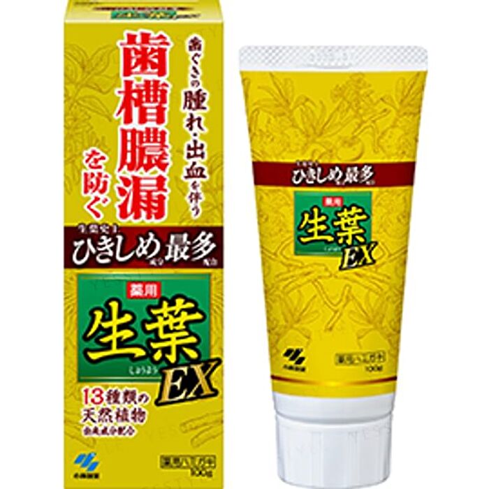 Fresh Leaf EX Toothpaste - 100g