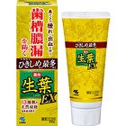 Fresh Leaf EX Toothpaste - 100g