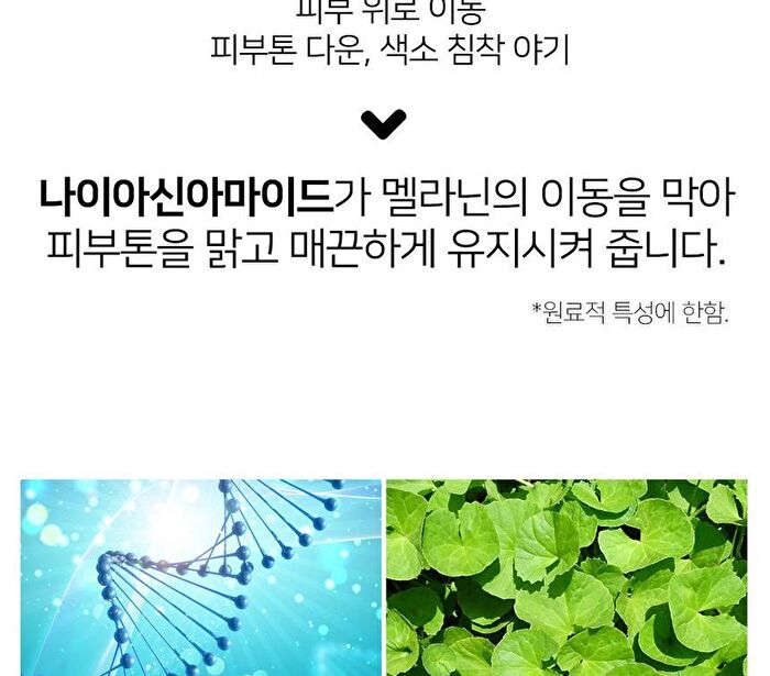 Niacinamide Zinc Serum - 30ml