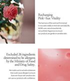 Falling Into The Rose Mist Mini - 30ml