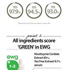 Houttuynia Cordata + Tea Tree Serum - 30ml