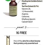 Houttuynia Cordata + Tea Tree Serum - 30ml