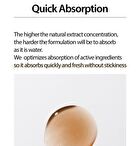 Houttuynia Cordata + Tea Tree Serum - 30ml