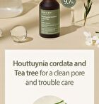 Houttuynia Cordata + Tea Tree Serum - 30ml