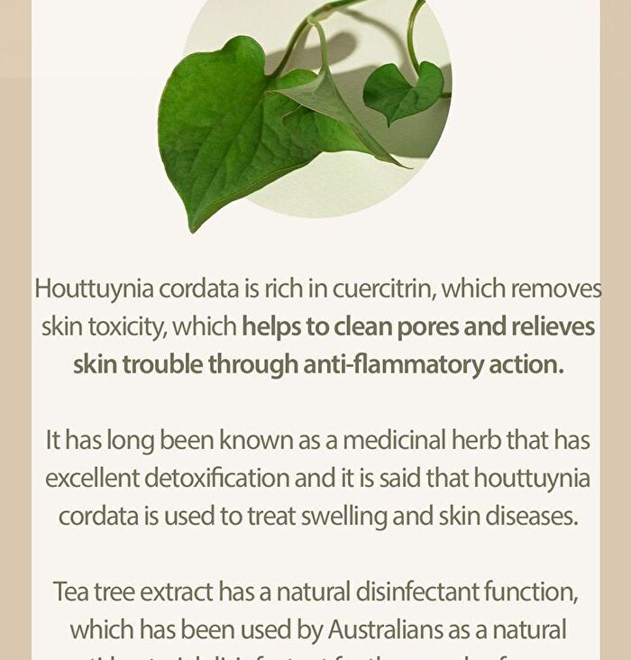 Houttuynia Cordata + Tea Tree Serum - 30ml