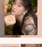 romand Better Than Palette The Secret Garden - 9 Types - #02 Mahogany Garden