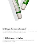 Real Essential Lip Balm - 3 Types - Collagen