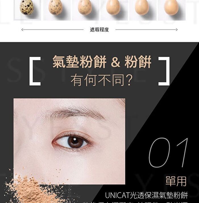 Perfect Aqua Powder Foundation SPF 50+ PA++++ - 9g