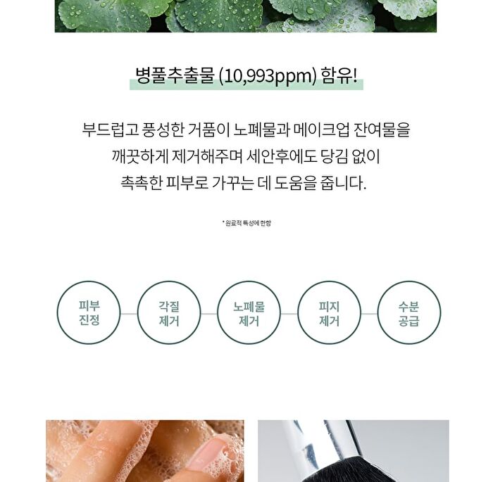 Cica Farm Nature Solution Foam Cleanser - 180ml
