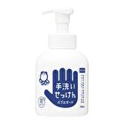 Bubble Guard Hand Wash - 300ml