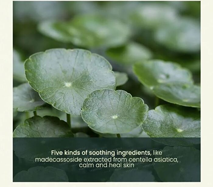 Calming Low pH Foaming Cleanser - 150ml