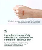 Calming Low pH Foaming Cleanser - 150ml