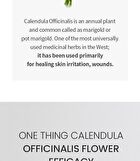 Calendula Officinalis Flower Extract Toner JUMBO - 300ml