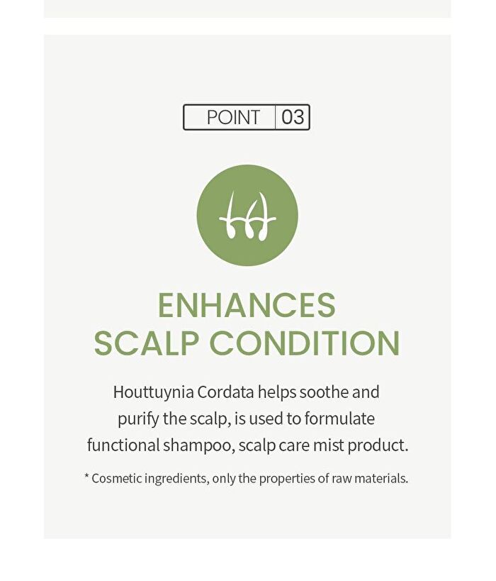 Houttuynia Cordata Extract Toner JUMBO - 300ml