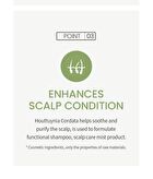 Houttuynia Cordata Extract Toner JUMBO - 300ml