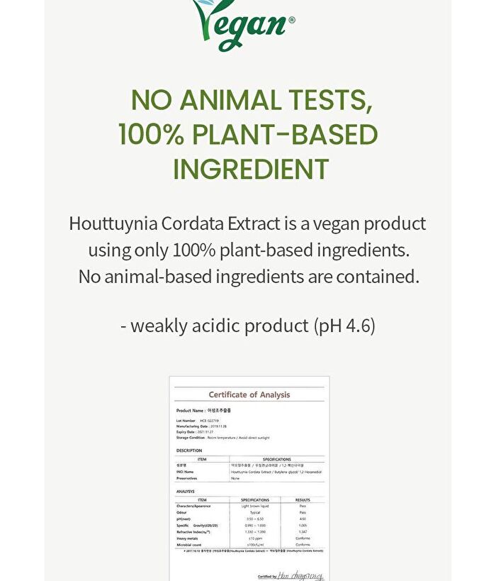Houttuynia Cordata Extract Toner JUMBO - 300ml