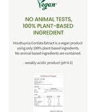 Houttuynia Cordata Extract Toner JUMBO - 300ml
