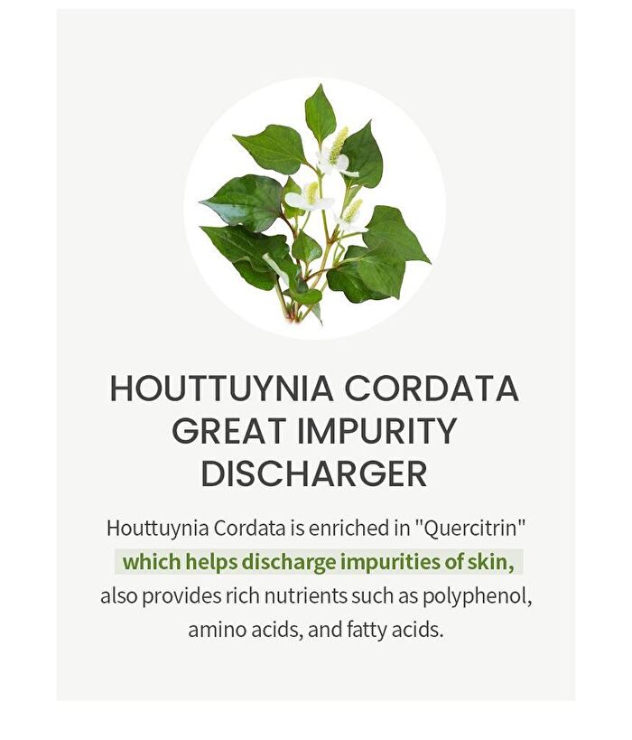 Houttuynia Cordata Extract Toner JUMBO - 300ml