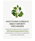 Houttuynia Cordata Extract Toner JUMBO - 300ml