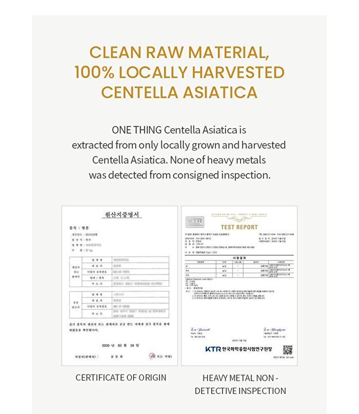 Centella Asiatica Extract Toner JUMBO - 300ml