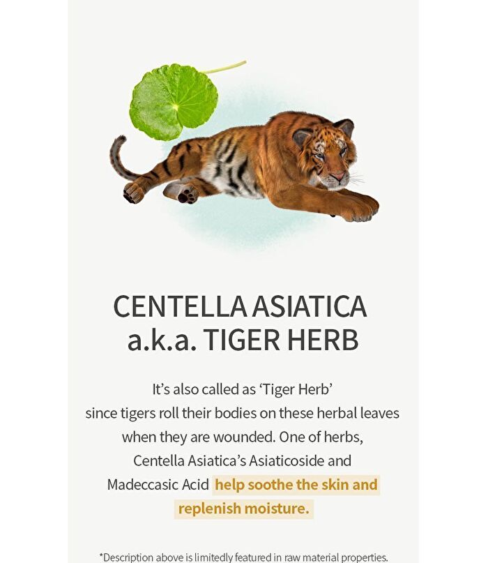 Centella Asiatica Extract Toner JUMBO - 300ml