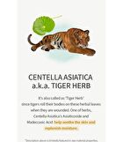 Centella Asiatica Extract Toner JUMBO - 300ml