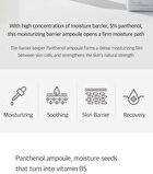 Ampoule Real Active Panthenol Plus - 2025 Version - 50ml