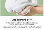 Cosrx Pure Fit Cica Creamy Foam Cleanser Mini - 75ml