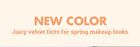 romand Zero Velvet Tint Vintage Filter Series - 4 Colors - #22 Grain Nude
