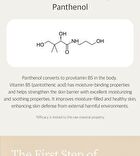 pH Balancing Toner - 145ml