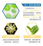 Invisible Fiber Mask - EGF Total-Effect Anti-Ageing - 1 pc