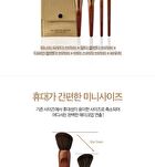 too cool for school Artist Vegan Brush Kit - 4 pcs