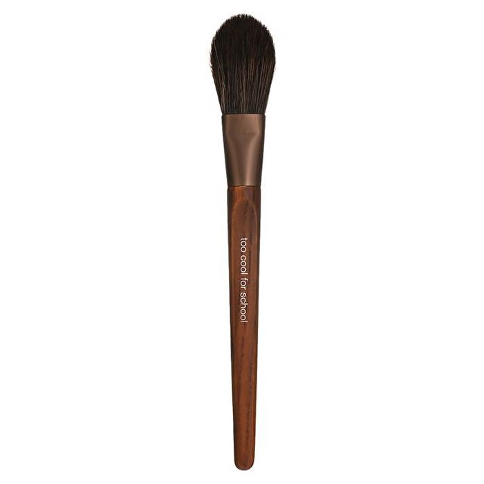 too cool for school Artist Vegan Face Point Brush - 1 pc