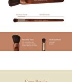 too cool for school Artist Vegan Powder Fan Brush - 1 pc