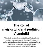 Vitamin B5 + Bifida Toner - 120ml